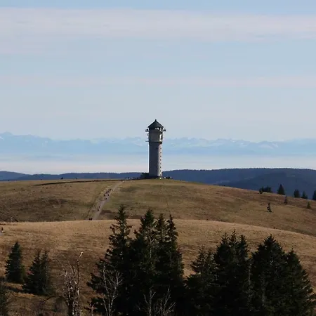 Apartment Ferienwohnung Tannenwichtel Feldberg (Baden-Wurttemberg)
