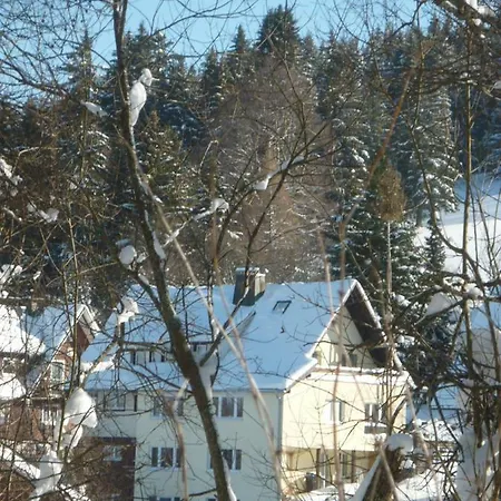 Apartment Ferienwohnung Tannenwichtel