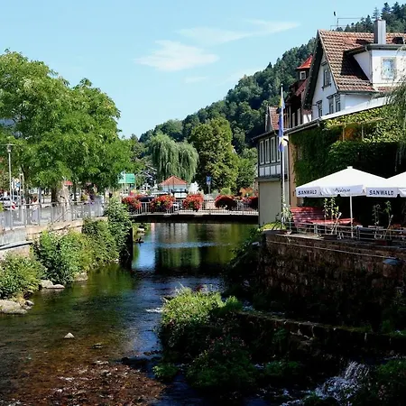 Ferienwohnung Tannenwichtel Feldberg (Baden-Wurttemberg)