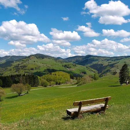 Apartment Ferienwohnung Tannenwichtel Feldberg (Baden-Wurttemberg)
